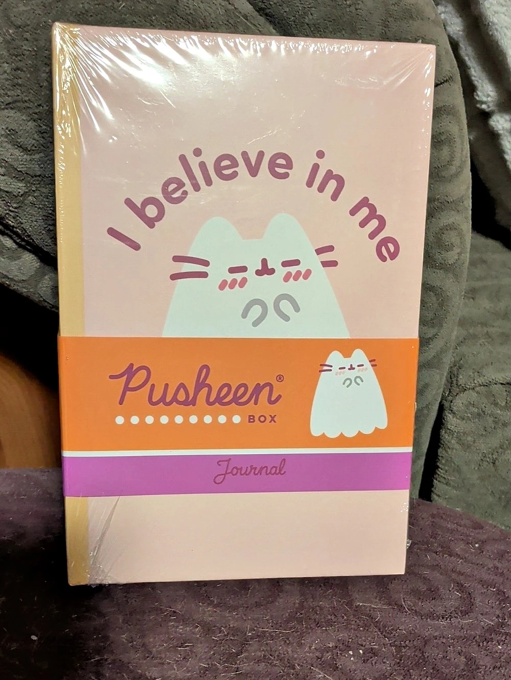 Pusheen Box Exclusive I Believe in Me Journal Pink & Orange